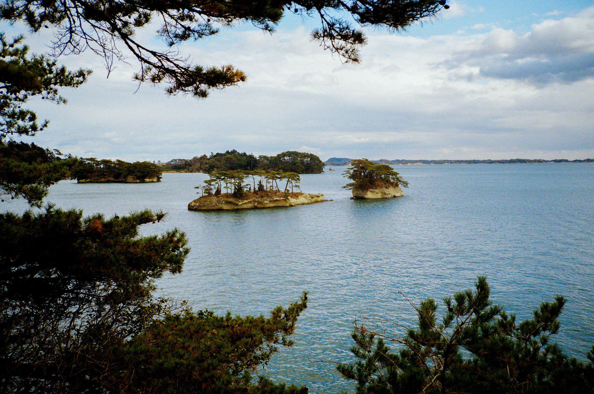 Landscape