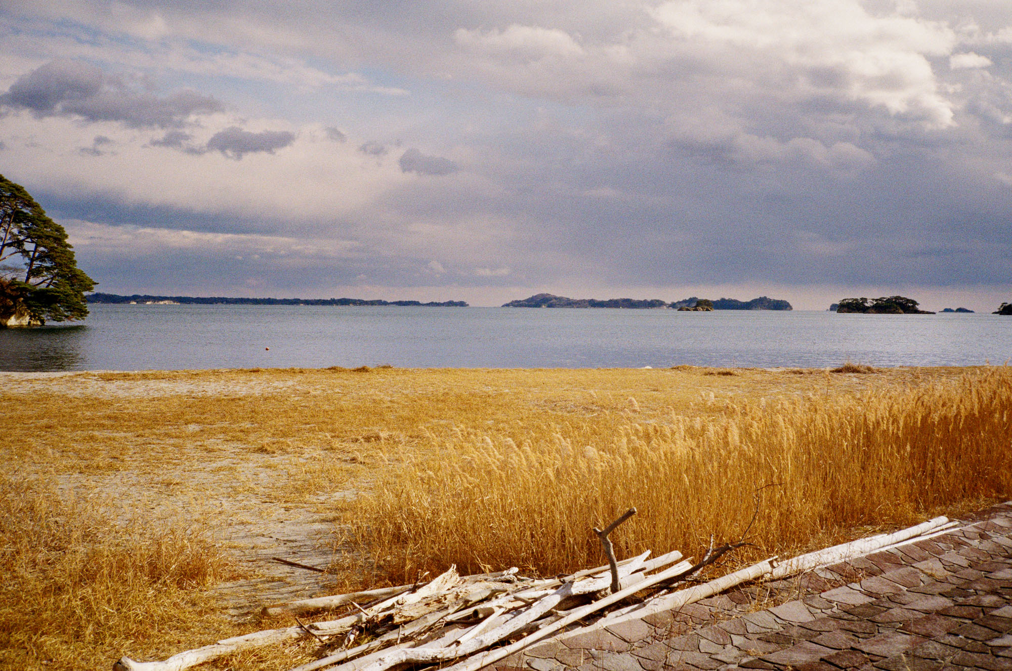 Landscape
